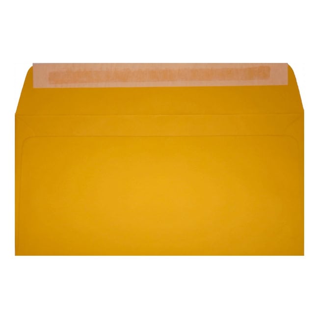 Clariana Dark Yellow Envelope Dl Wallet Open