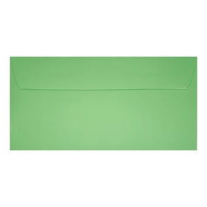 Clariana Pale Green Envelope Dl Wallet Closed