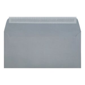 Clariana Pale Grey Envelope Dl Wallet Closed