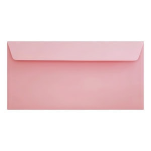 Clariana Pale Pink Envelope Dl Wallet Closed