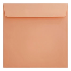 Clariana Pale Salmon Envelope 155mm Square Wallet Closed