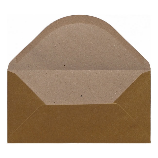 Gold Kraft Envelope Dl Open